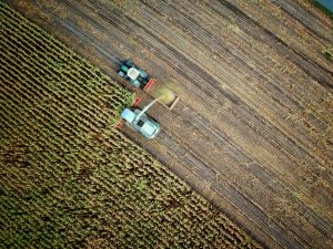 two trucks on plant field