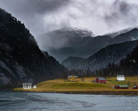 houses in near mountains and trees during daytime