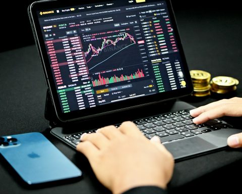 person using black and gray laptop computer
