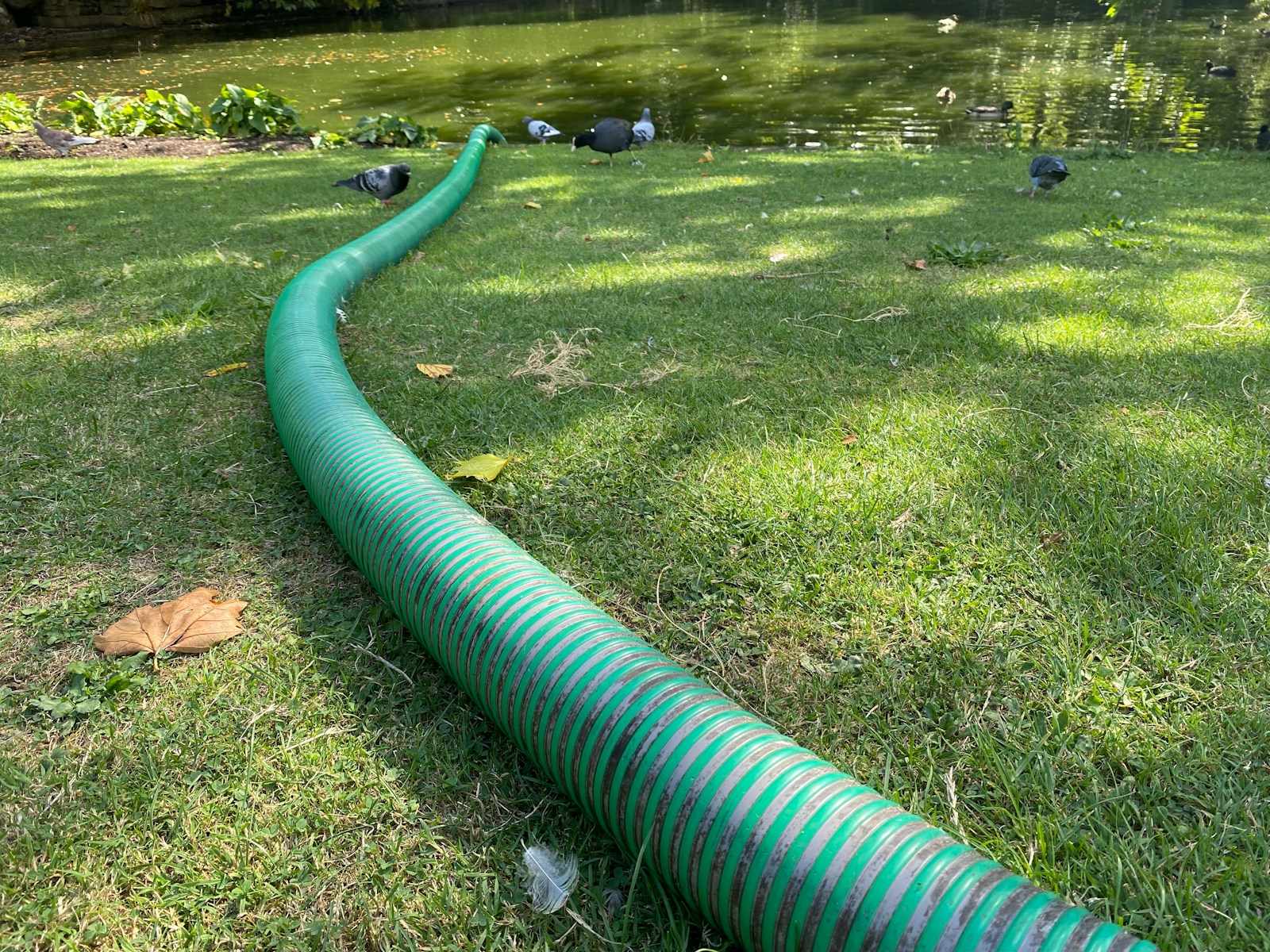 a pipe in the grass