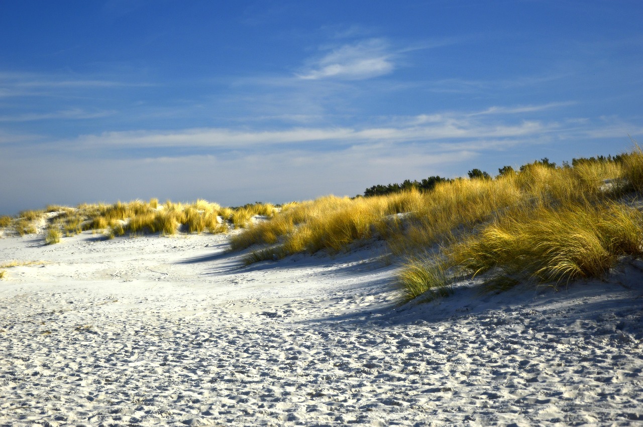 Man op de fiets door duinen langs de kust op een zomerse dag