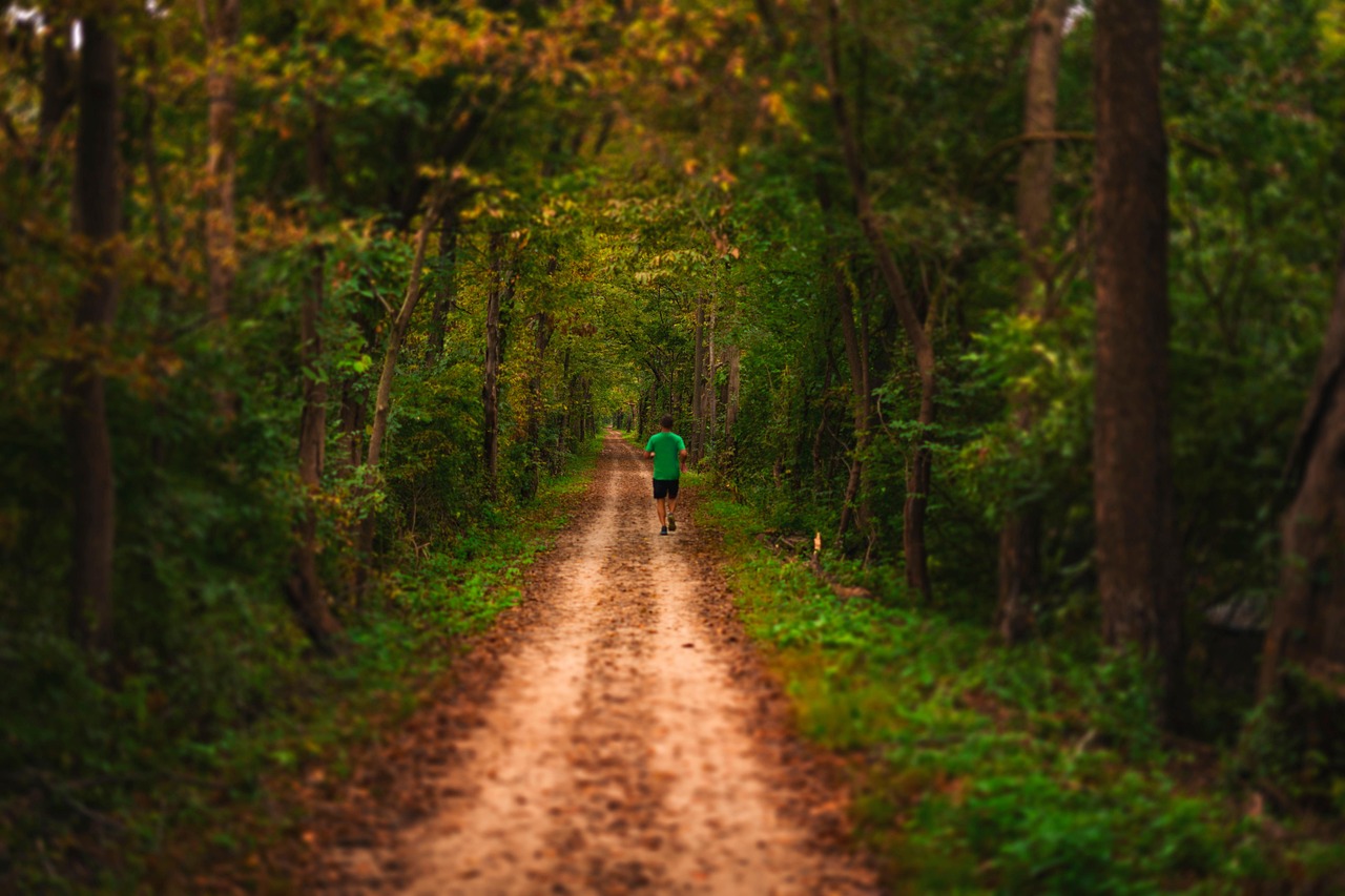 Man die hardloopt in een herfstbos met vallend blad